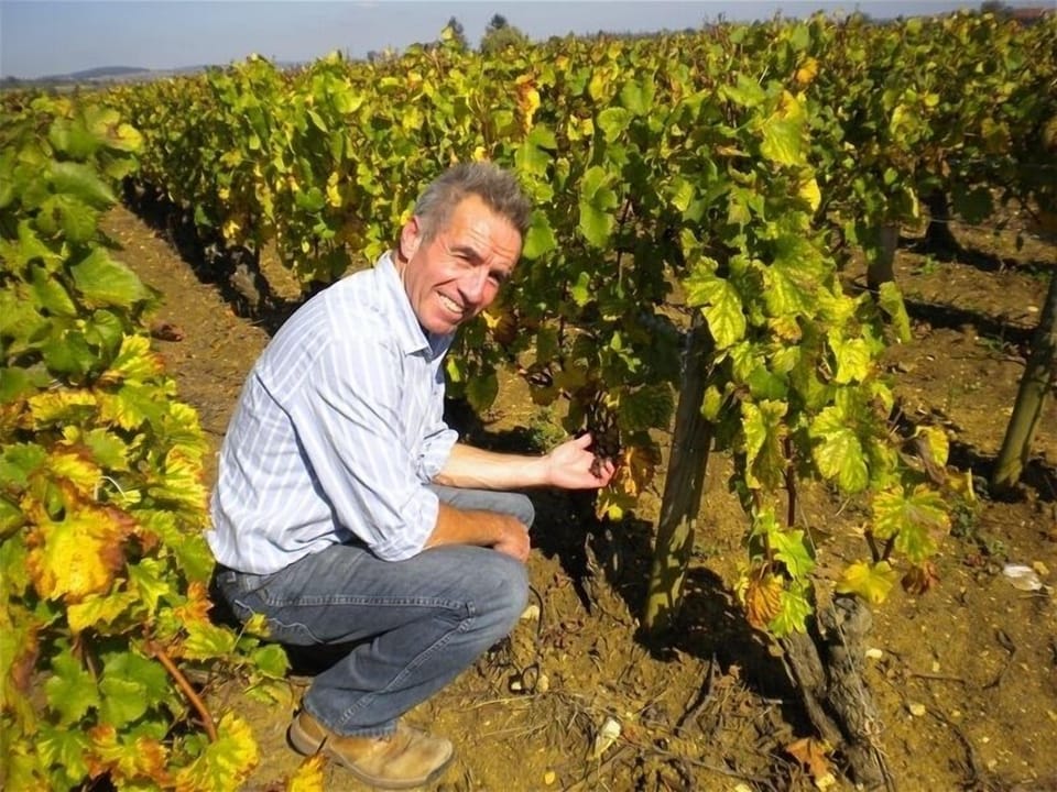 Explore the the Cote de Nuits & Beaune with Wine Expert Brendan Moore