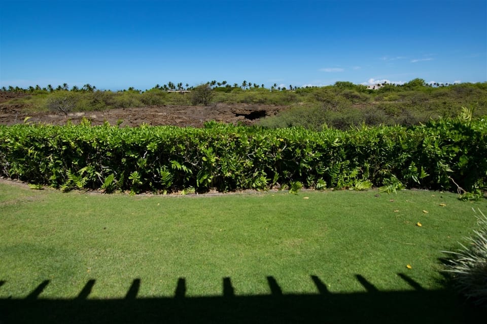 Explore the lava fields in Mauna Lani