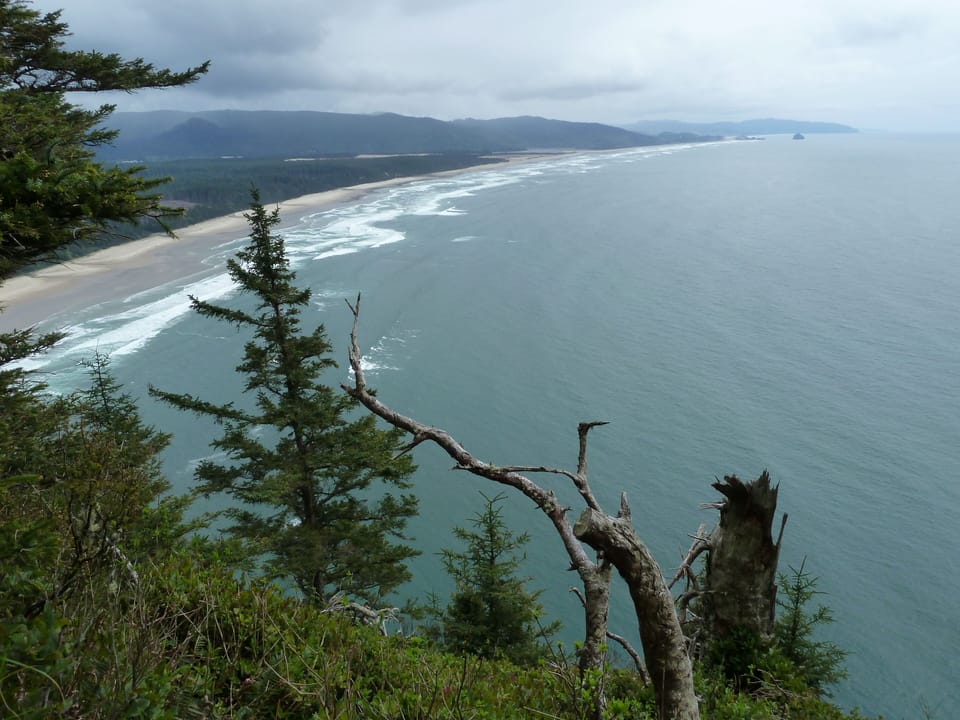 from the Cape Lookout trail