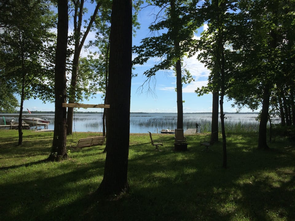 Wooded yard facing the lake