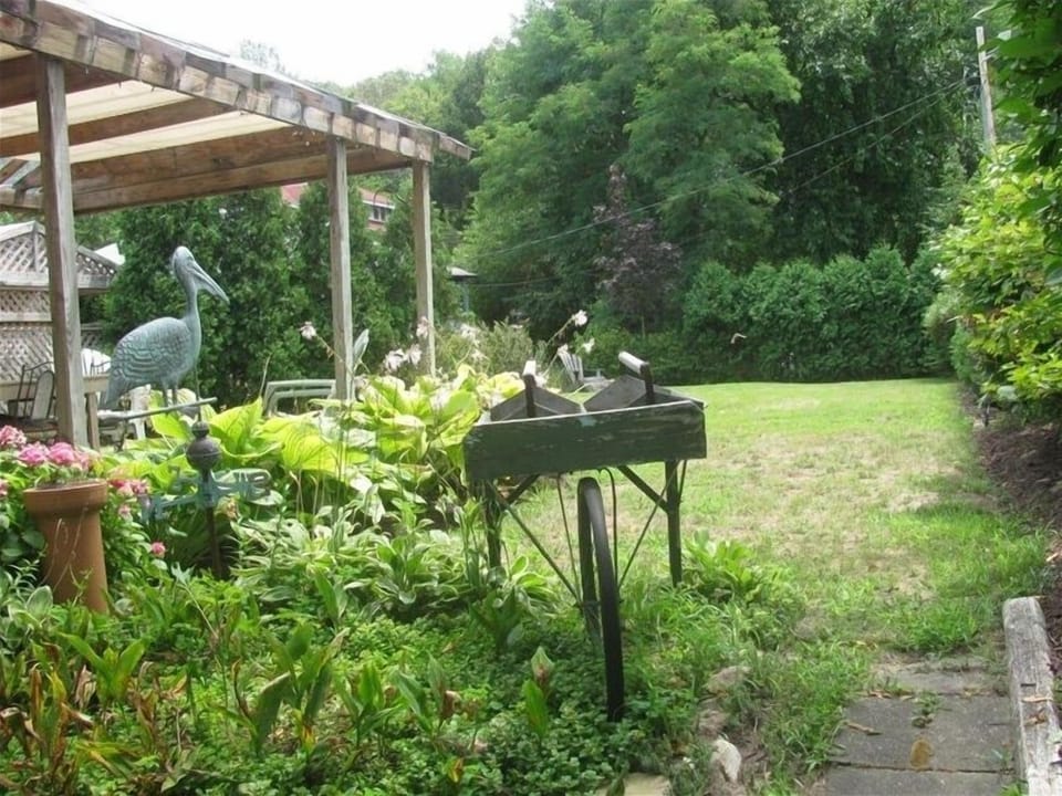 Large backyard perfect for relaxing or playing games