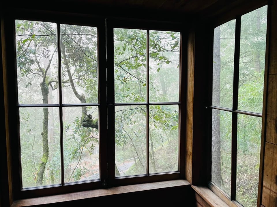 View from the bedroom.