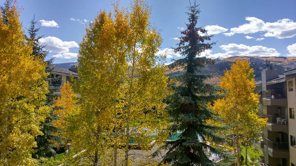 View from balcony