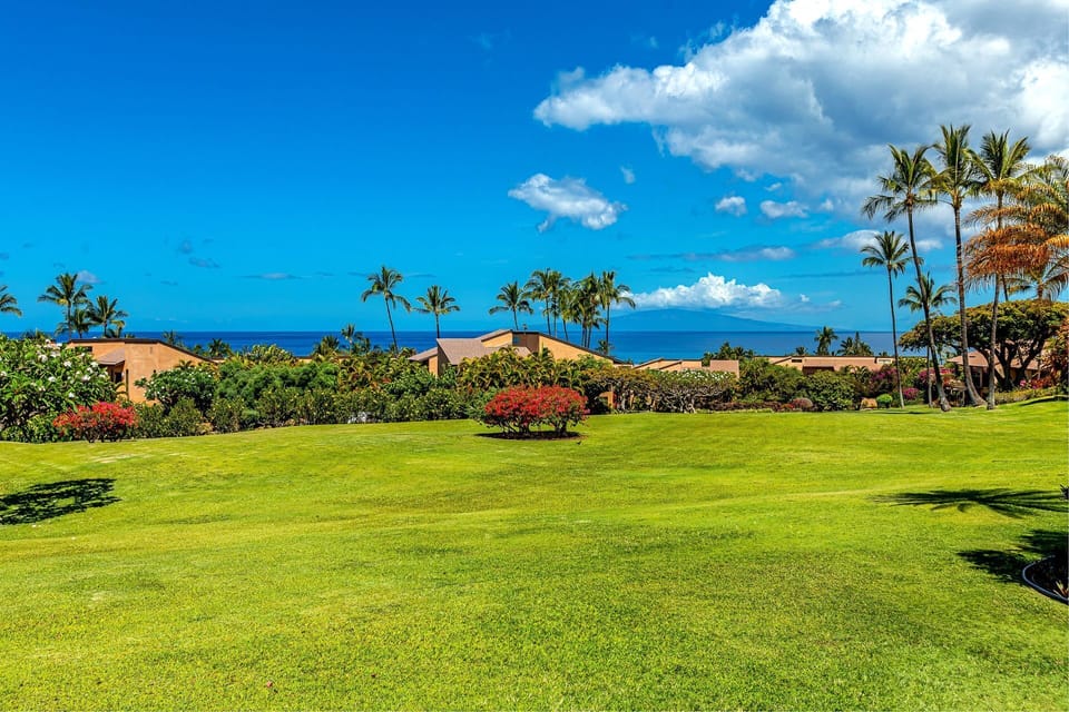 View Down the Greenbelt