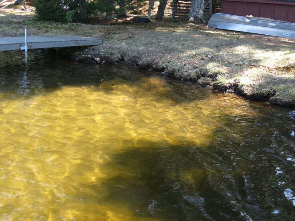 Shoreline with sandy bottom