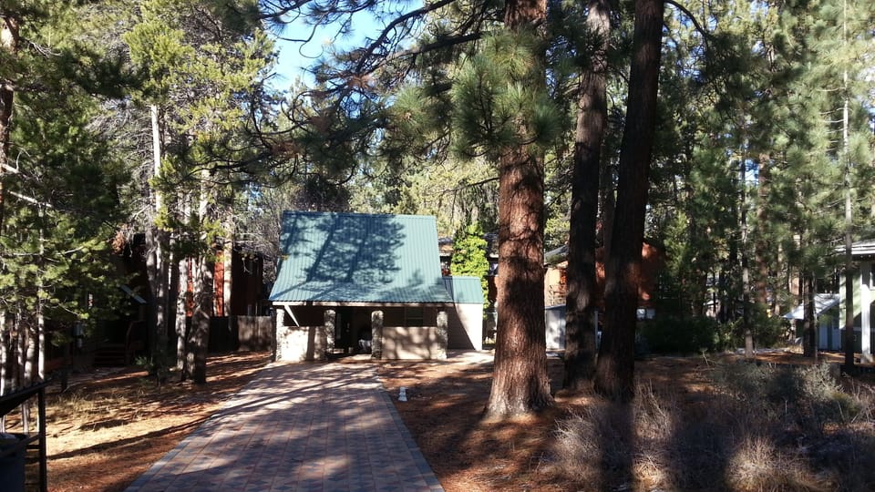 View of cabin from road, shows pine trees and paver driveway.