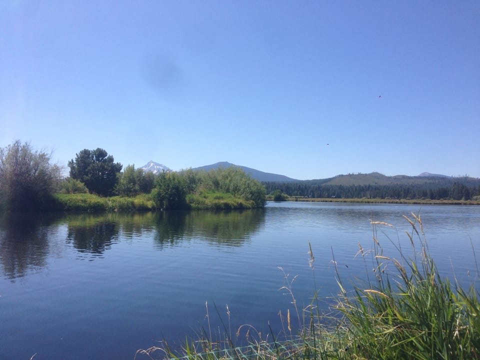 Favorite place on the Ranch to read a book or fly fish