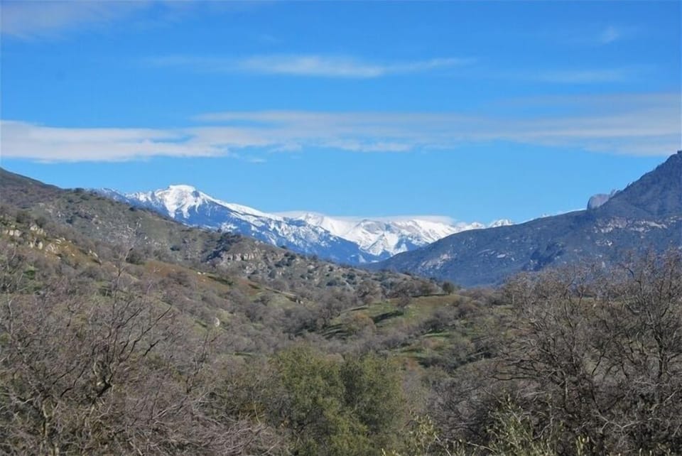 Winter View of Sequoia Park