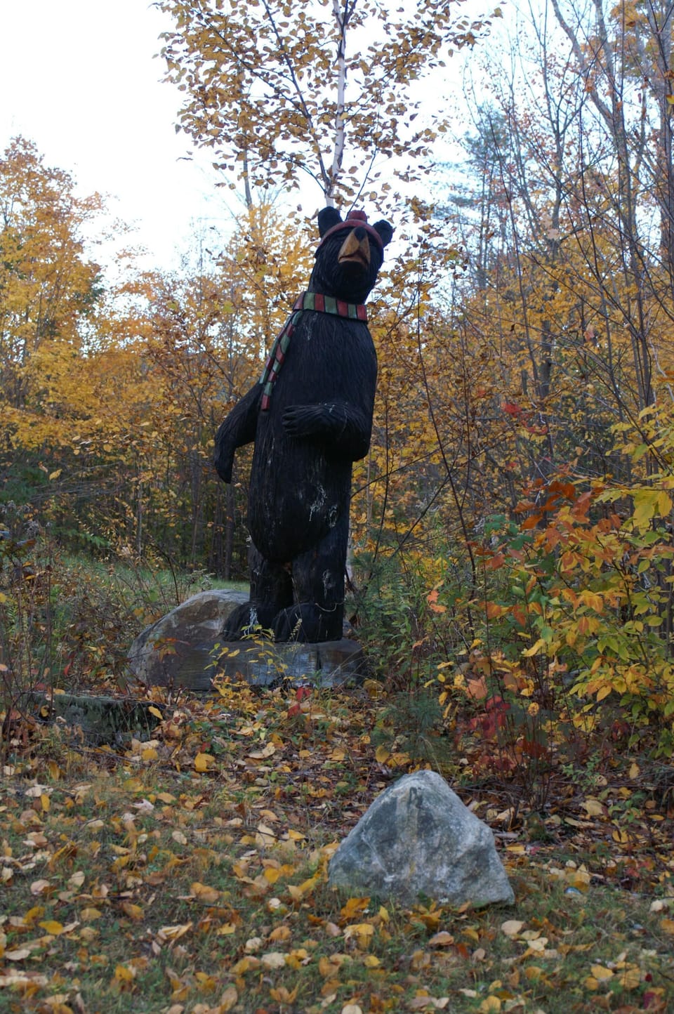Our Family Bear Watches Over Our Cabin