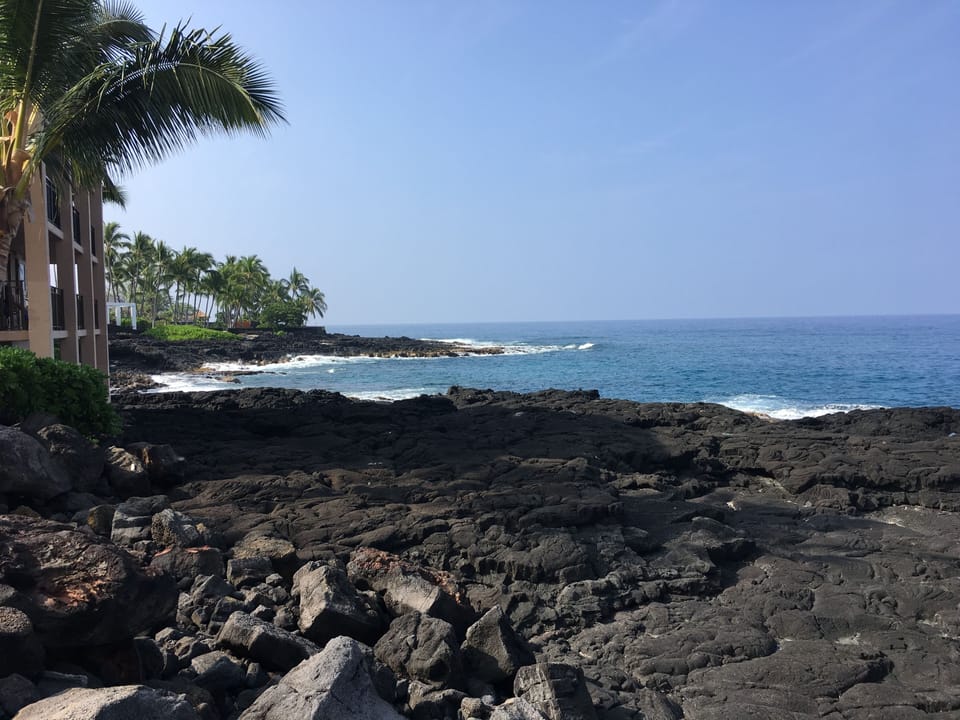 Lava rock in front of Building #1