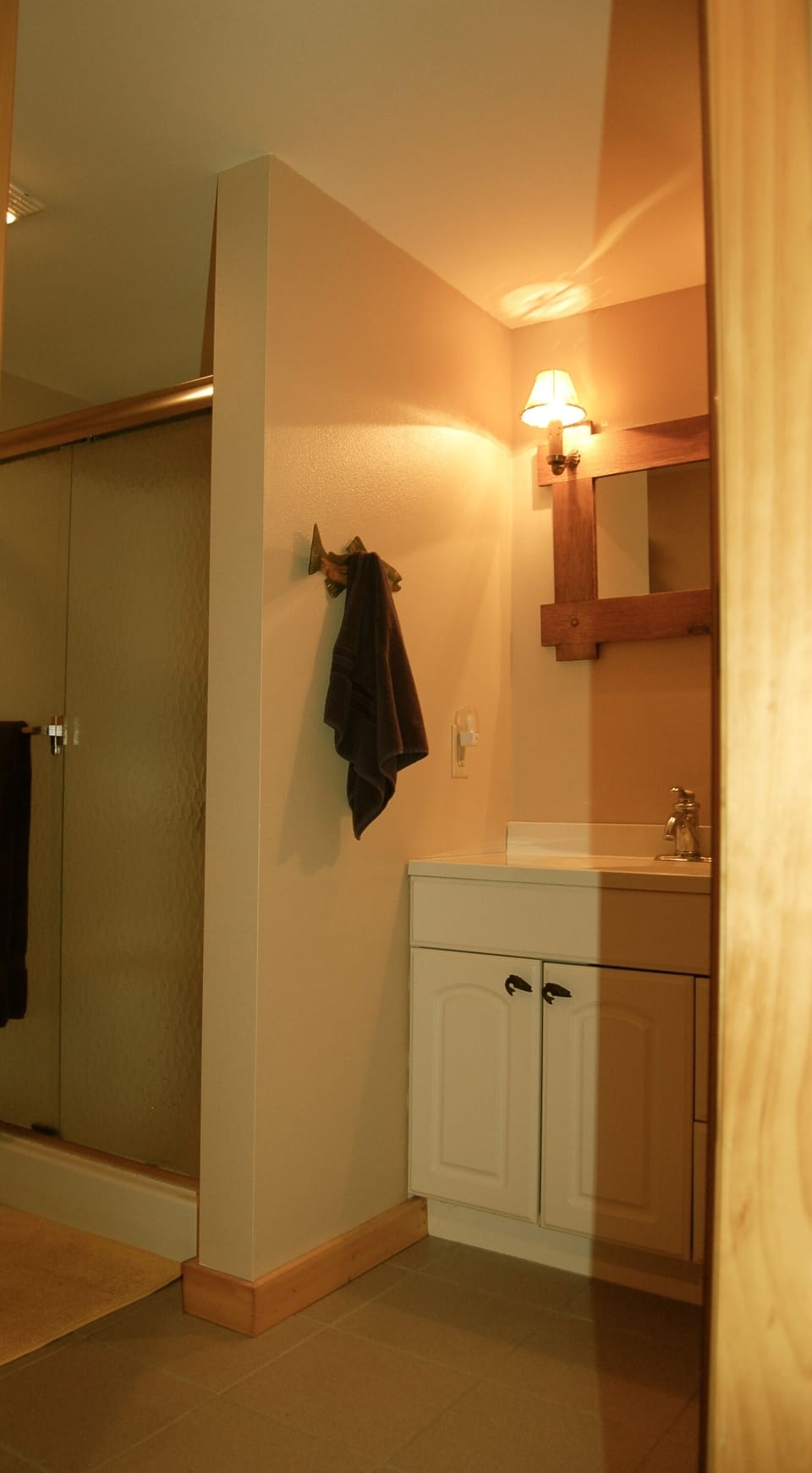 Lower level bathroom with walk in shower and sink.