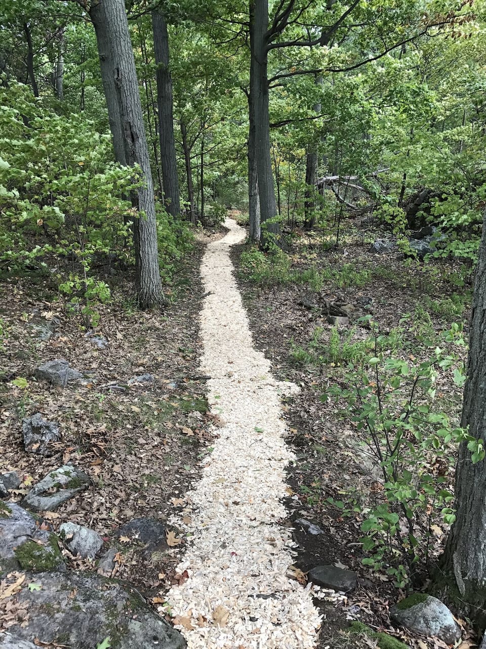 Walking path on big Aubrey