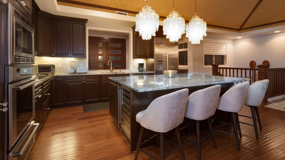 Gourmet open-concept kitchen!