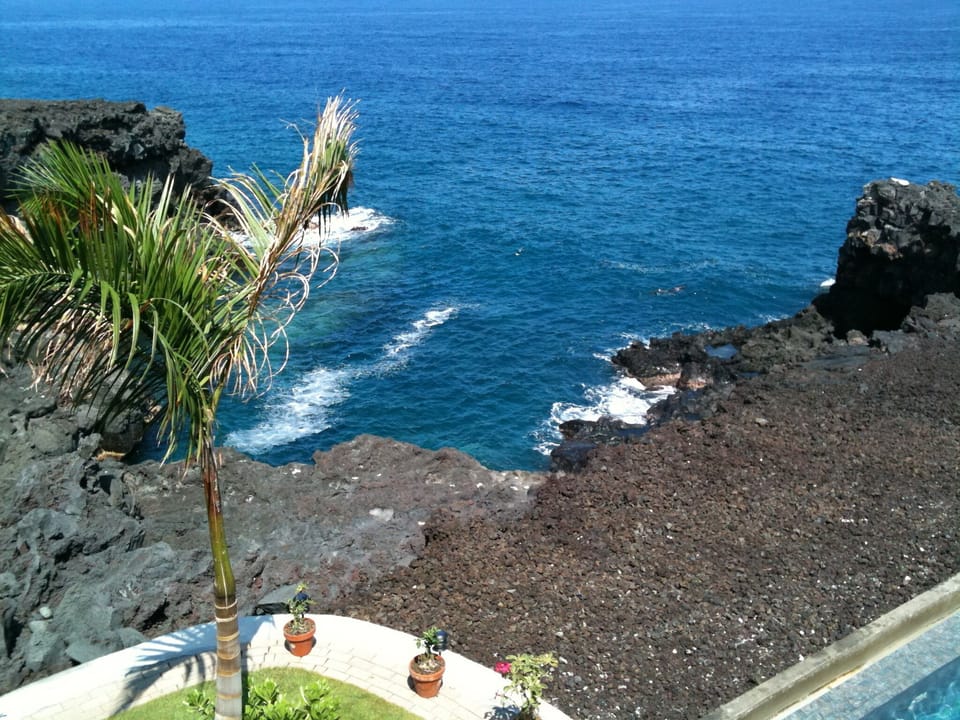 The Cove from the upstairs deck