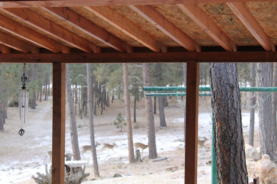 covered for bbq/picnic table & Deer in the Meadow