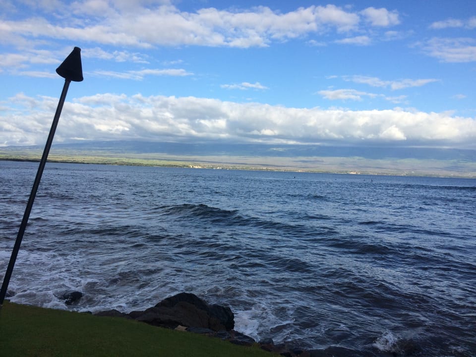 Come see our incredible turtle collection.