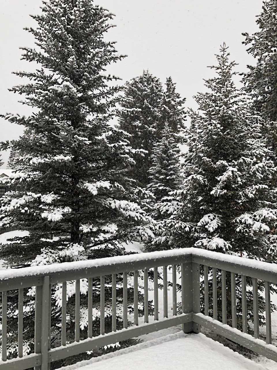 View and snow on deck