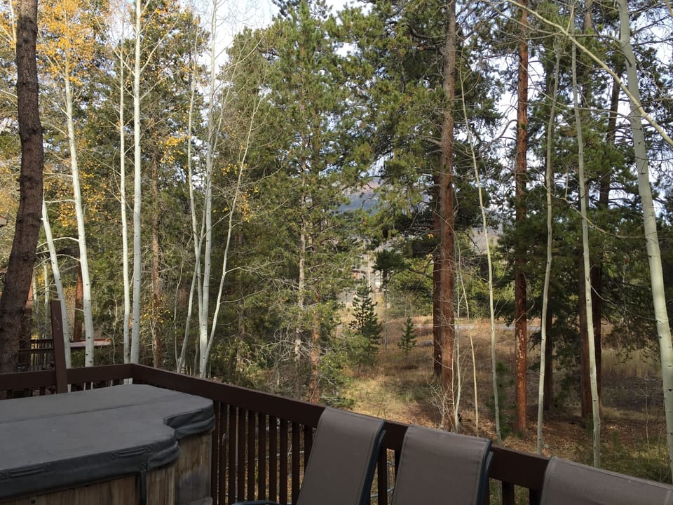 Woods/mountain view from back deck- beautiful & private!