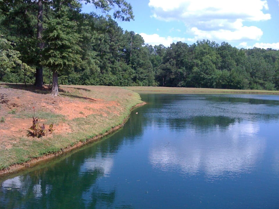 Lake