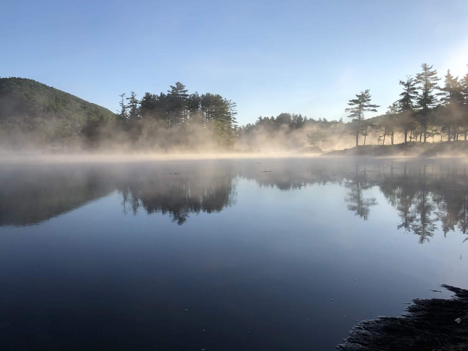 Early morning mist from water's edge, island on the left center