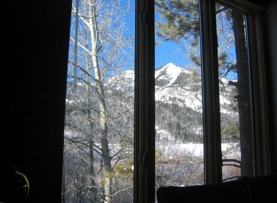 View from dining table