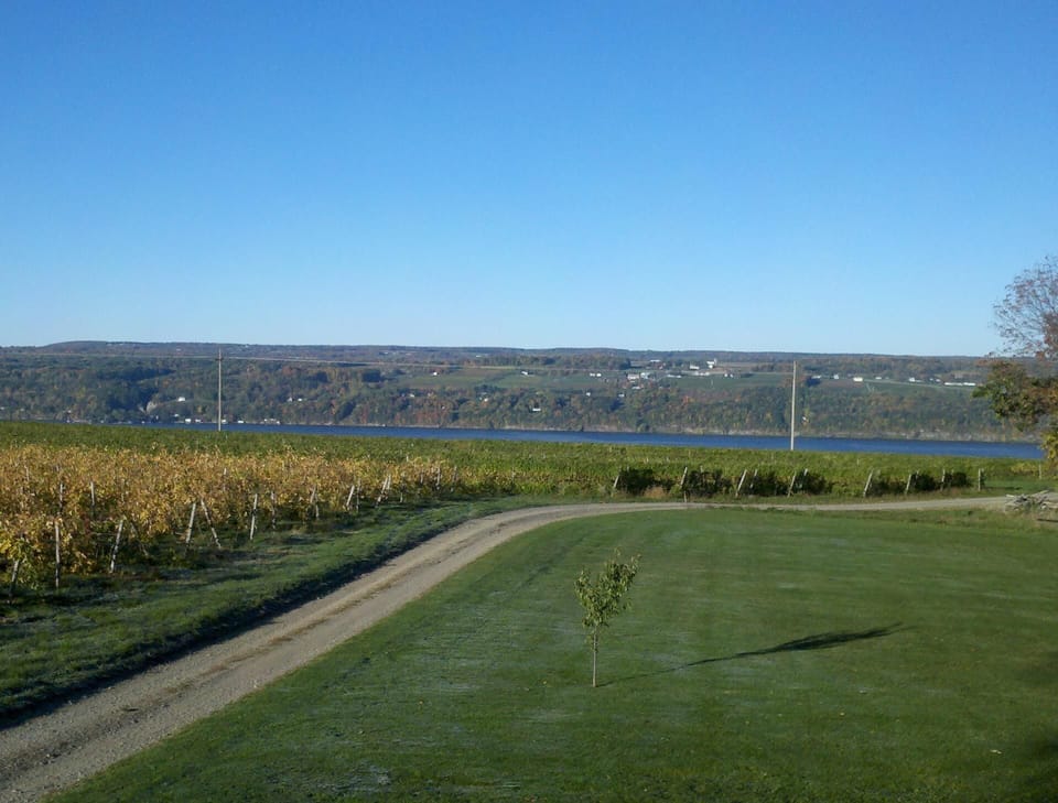 Fall in Hector! View from upstairs master bedroom.