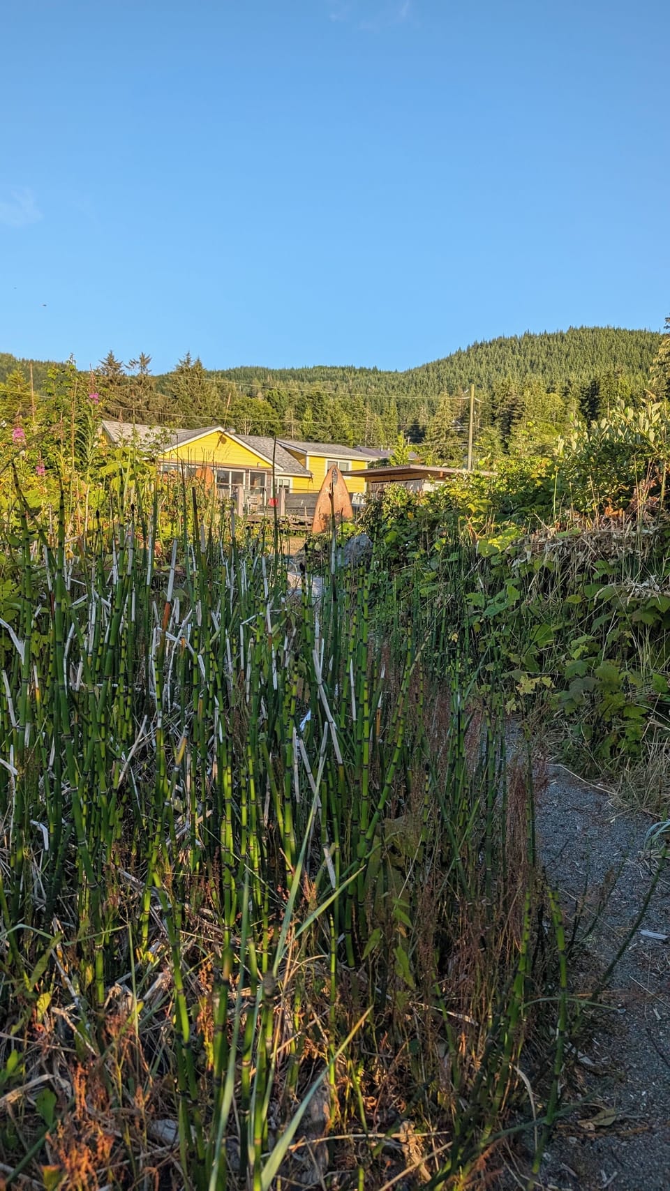 Private path to the house from the beach.
