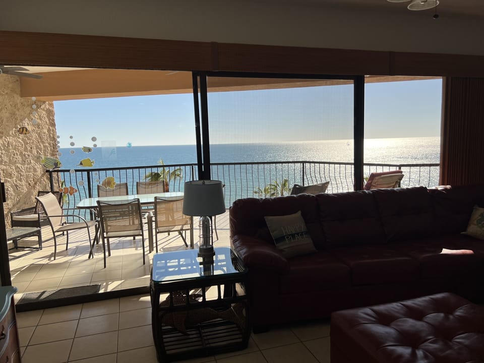 Views from the living room