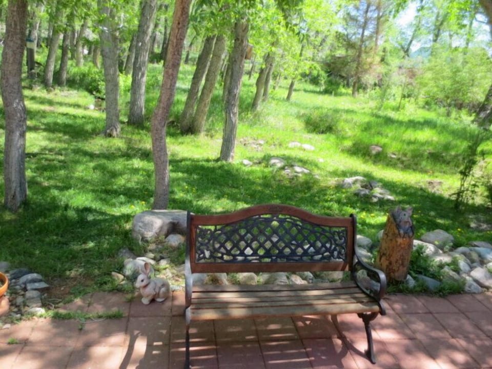Views off the back porch with rippling stream
