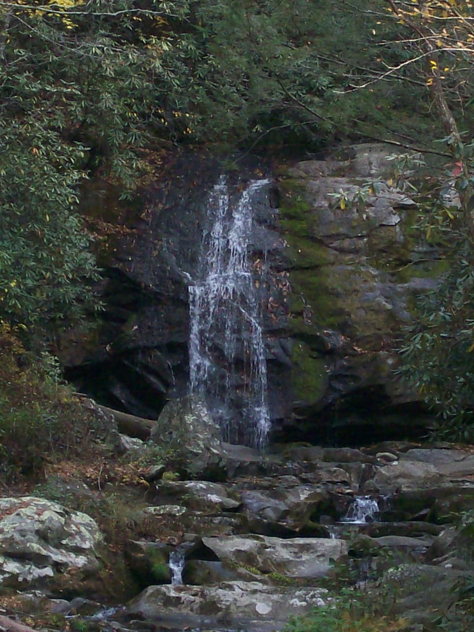One of many waterfalls visible in the Great Smoky Mountains!