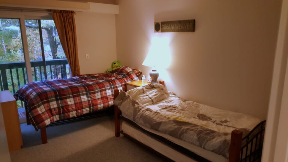 Midlevel Bedroom 2 - Twin beds and pull out bed and TV