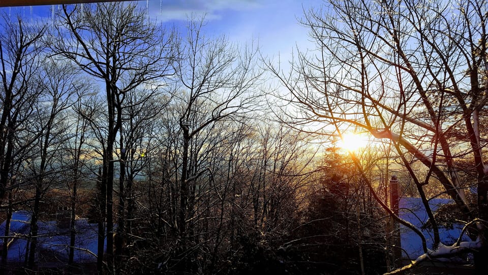 Morning view from the living room