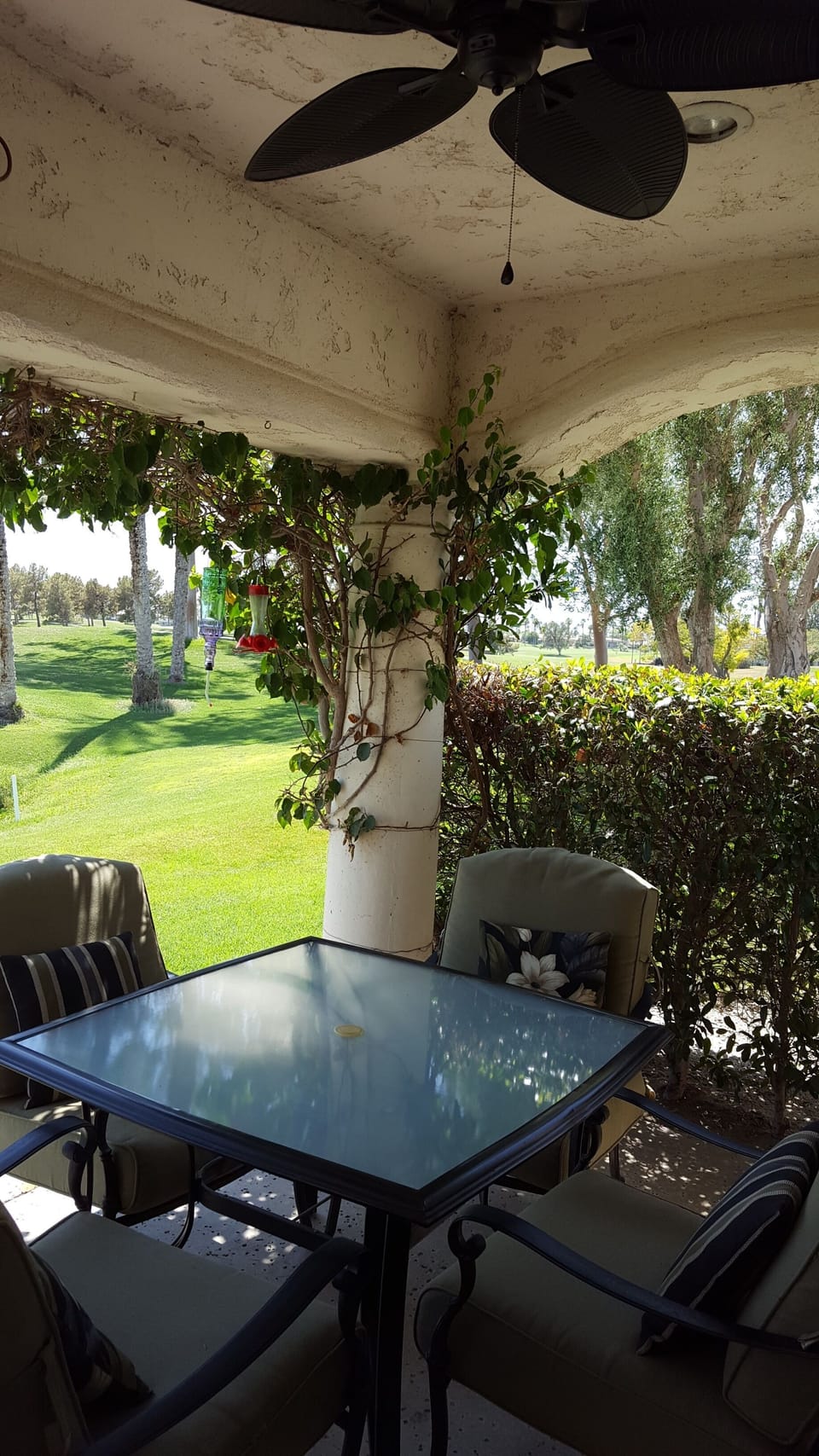 Beautiful outdoor setting with ceiling fan
