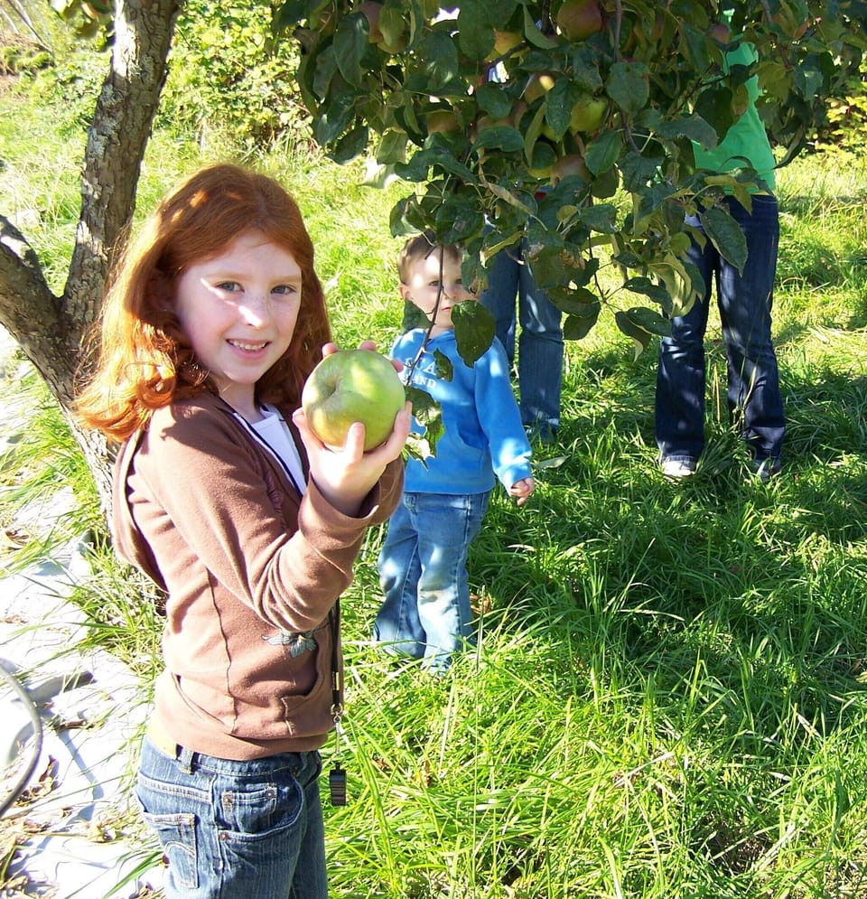Many varieties of apples are ripe for your picking in the Fall.  Help yourself!