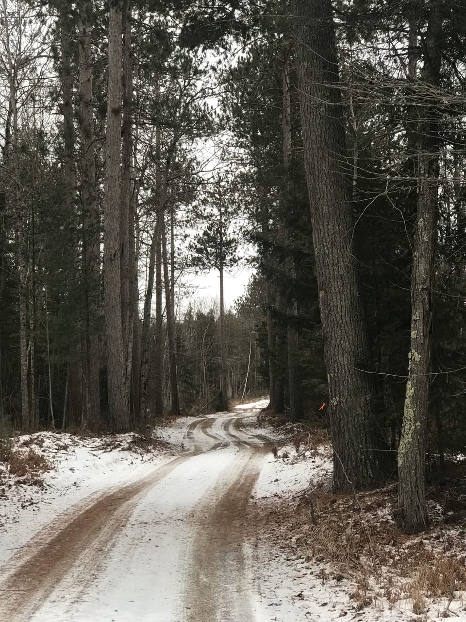This trail system is 1 mile from the cabin(ATV, UTV, ORV) by dirt road. 