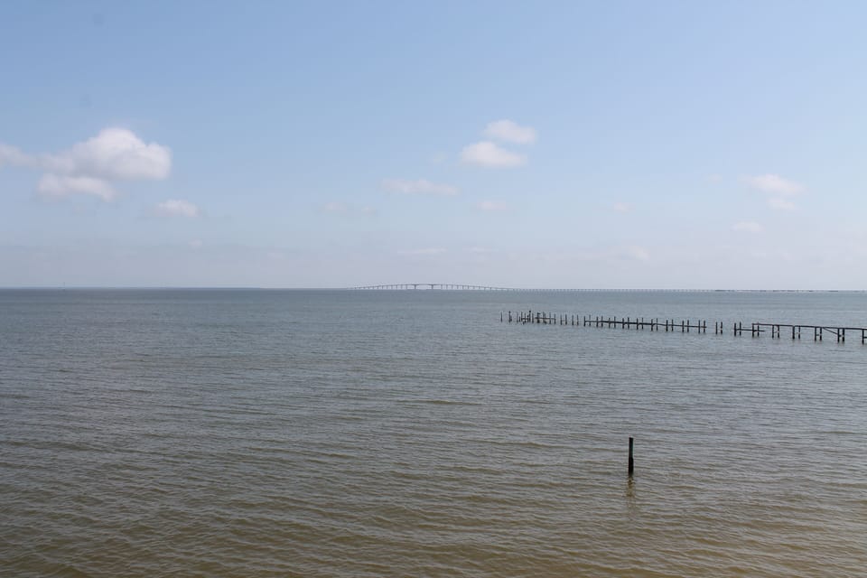 View From Upper Deck