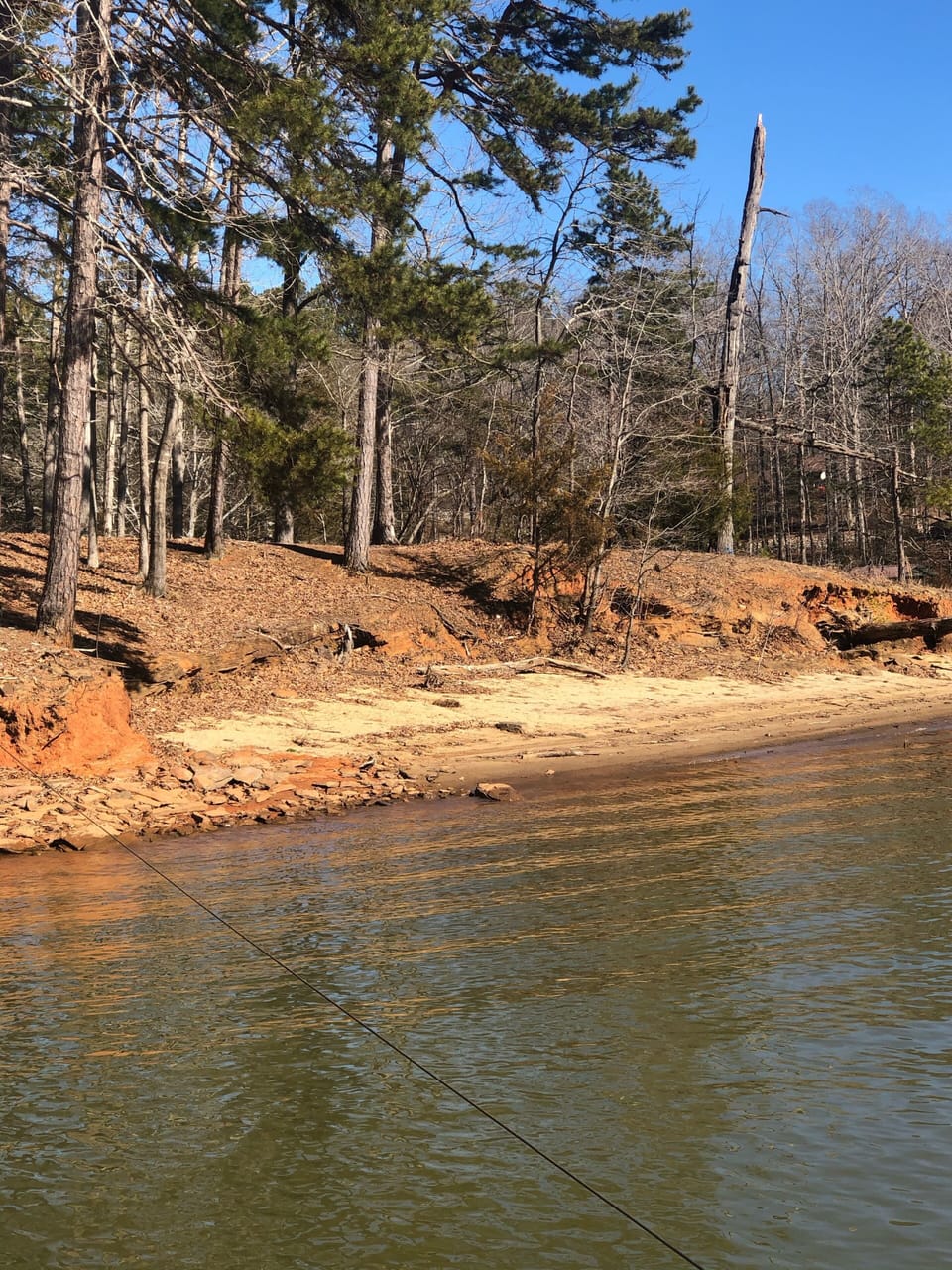 Sandy area on the lake