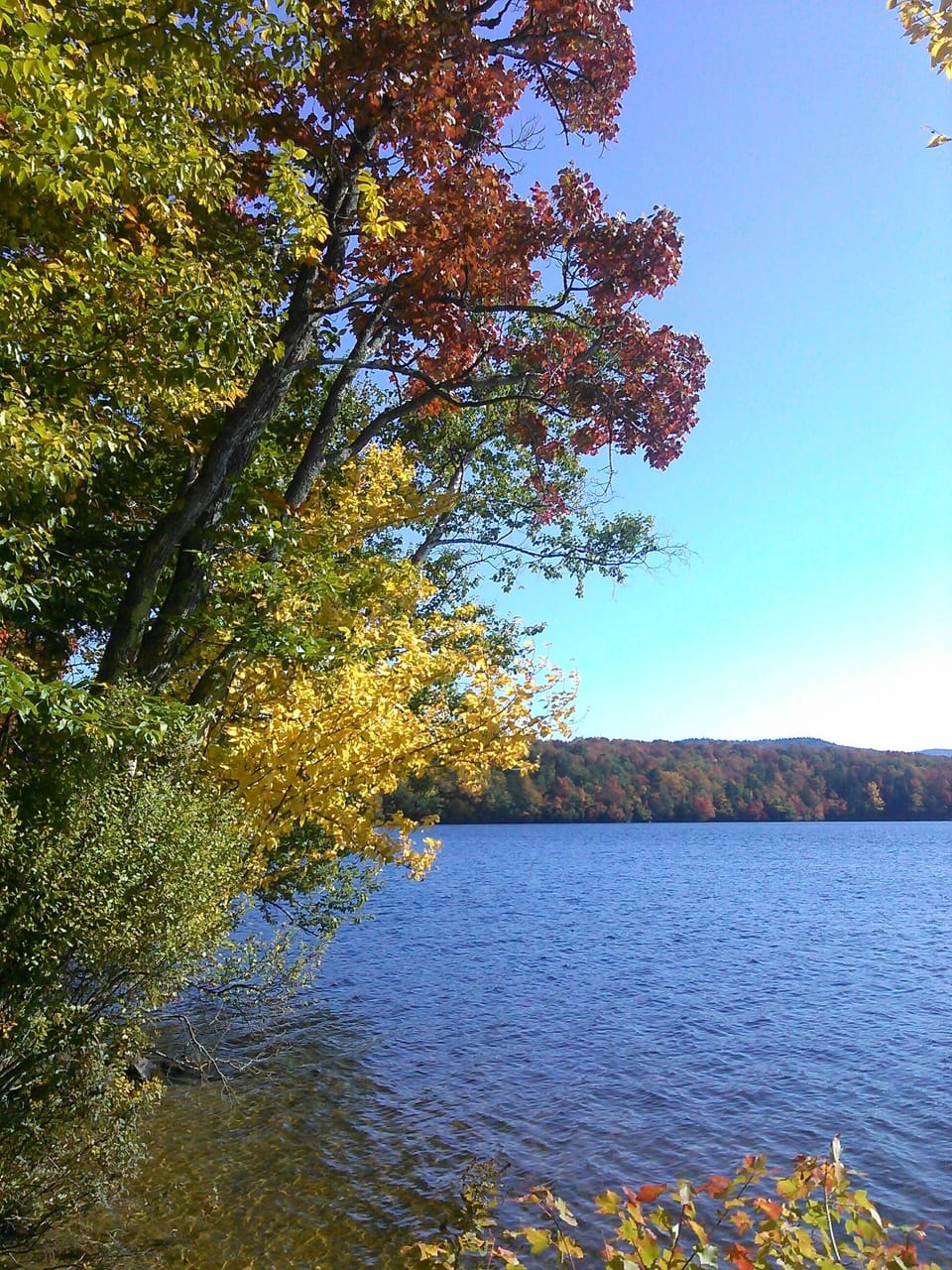 Lake Ninevah in autumn