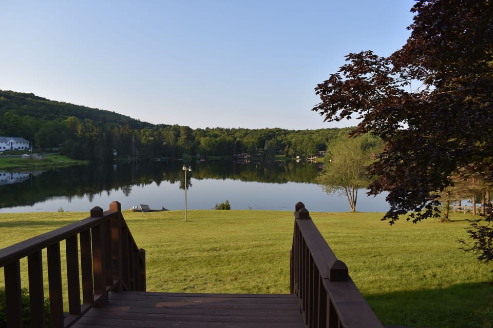 View from property
