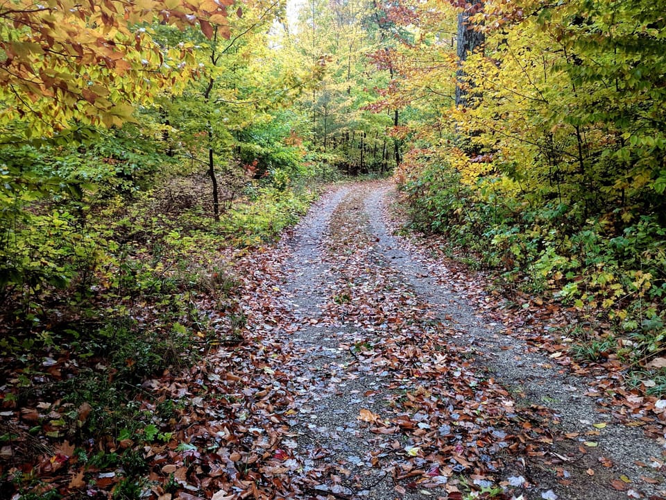 The road to paradise