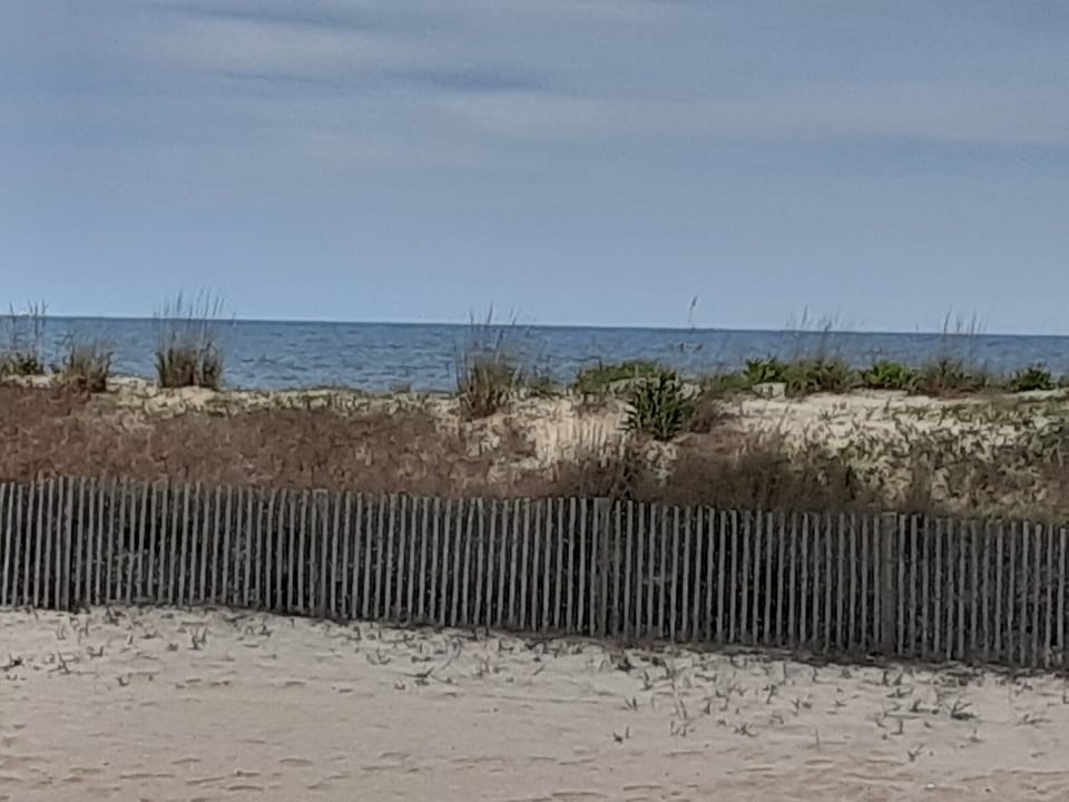 Afternoon view from the deck!