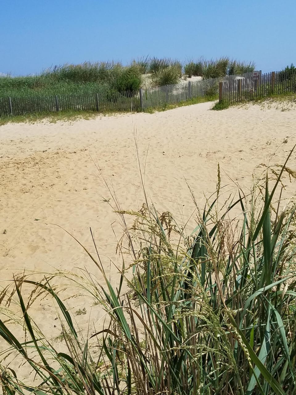 Tropicana Dune and Easy Beach Access!