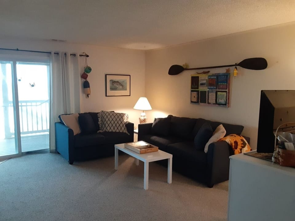 Living Room.
New sofas 2023/Queen sleep sofa
New carpet 2023