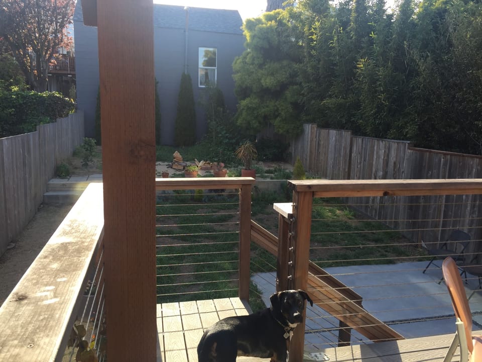 Deck with View of Yard (dog not included ;)