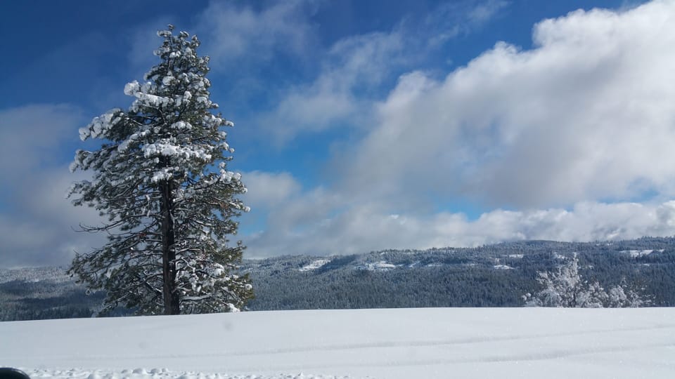 cold springs