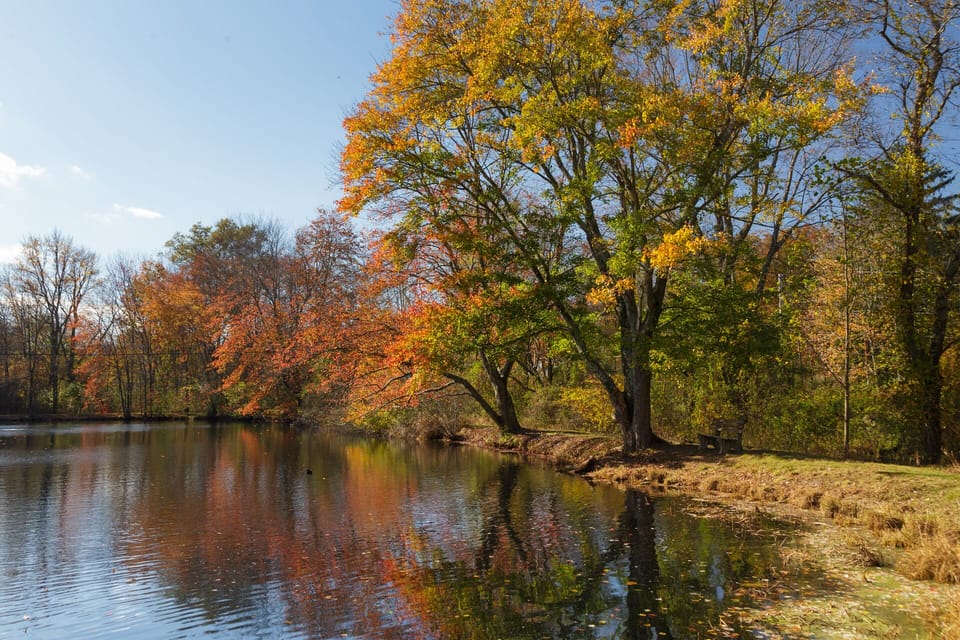 Pond with fall colors