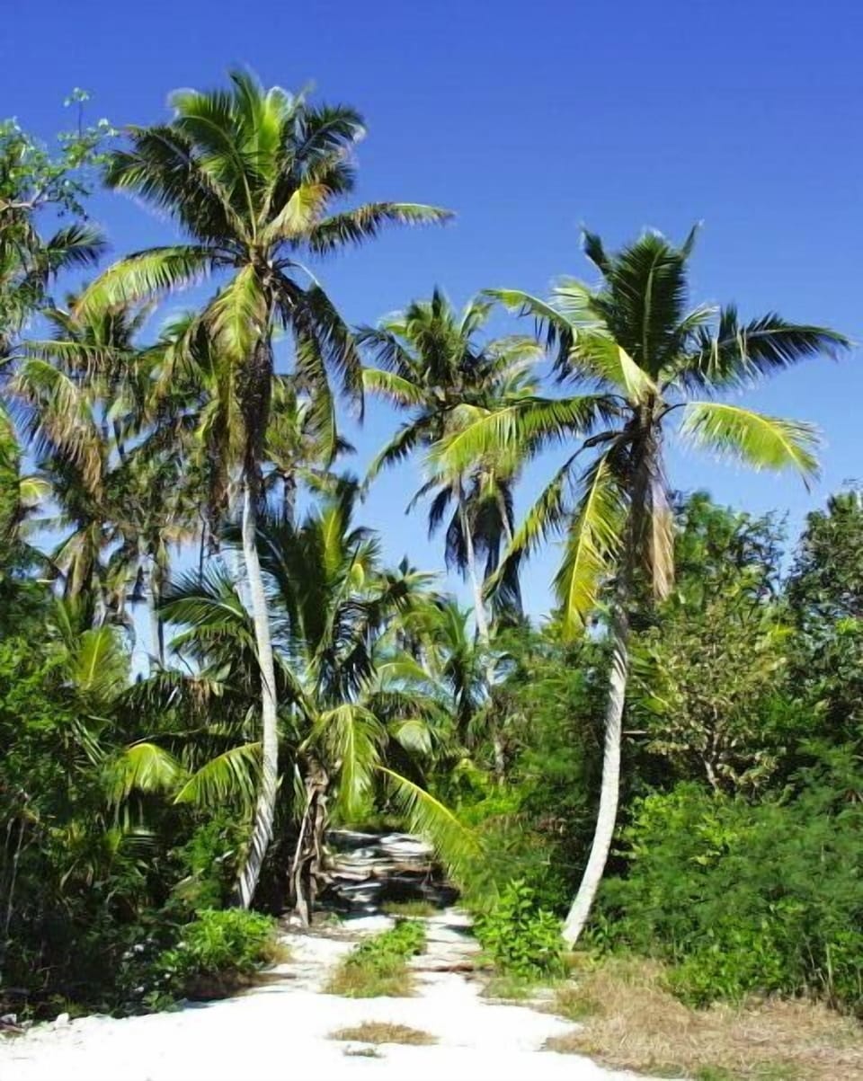 Beach road to Casuarina Bay