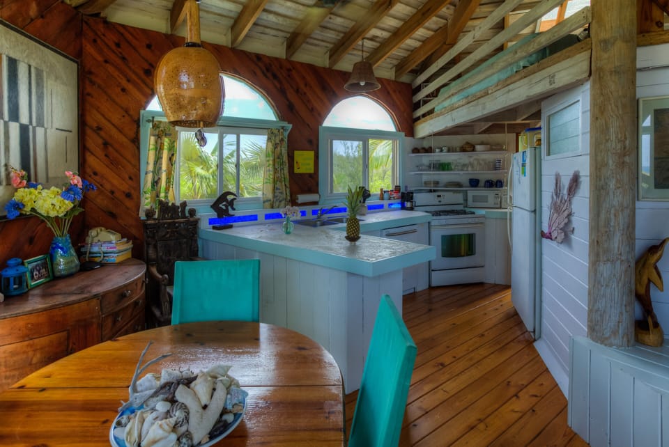 Newly remodeled kitchen with coral countertops and backlit seagulls