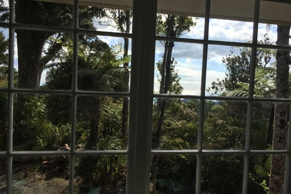 View out window on a sunny day