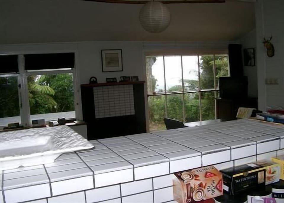 View from Kitchen to Fireplace
